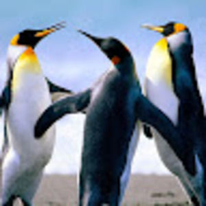 Meet your Posher, Zeke